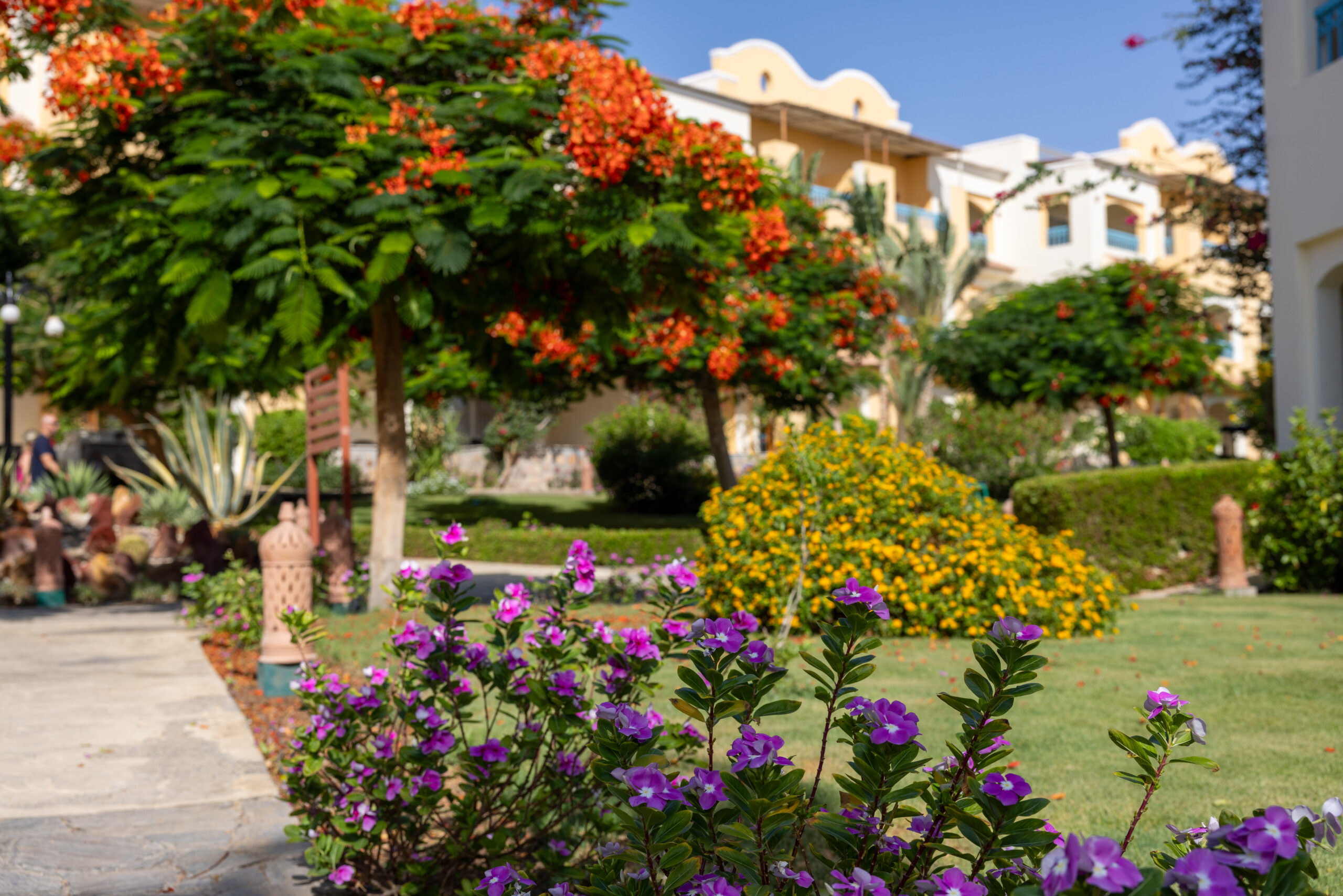 Concorde Moreen Beach Resort & Spa